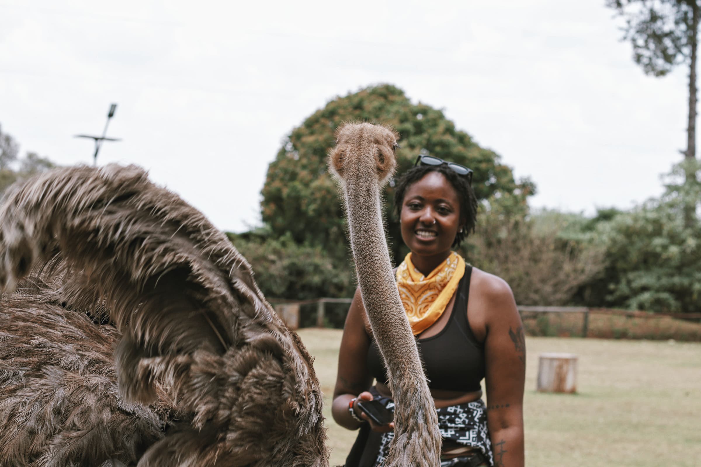 Conservancy experience